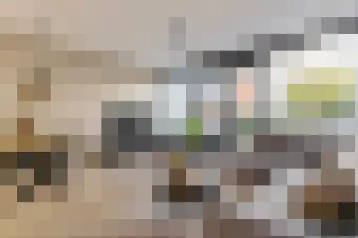 Goudsbloemstraat 83 Papendrecht thumbnail 7