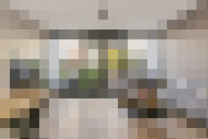 Goudsbloemstraat 83 Papendrecht thumbnail 8