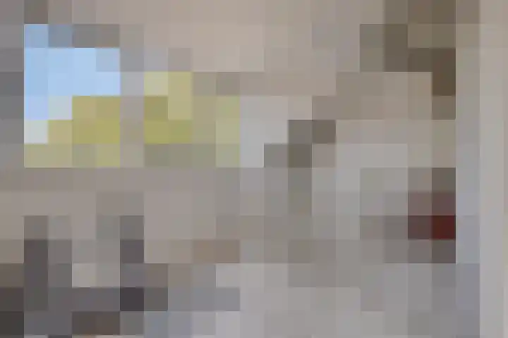 Goudsbloemvallei 6 's-Hertogenbosch thumbnail 36