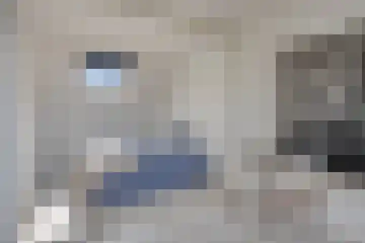 Goudsbloemvallei 6 's-Hertogenbosch thumbnail 38