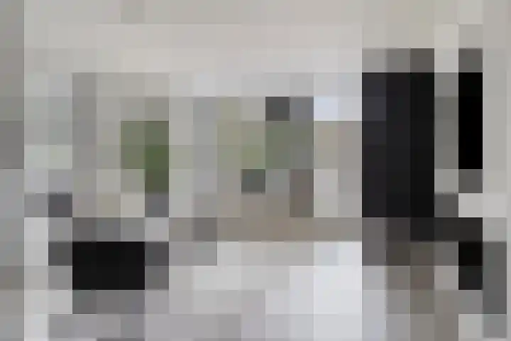 Goudsbloemvallei 6 's-Hertogenbosch thumbnail 4
