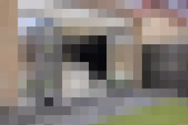Goudsbloemvallei 6 's-Hertogenbosch thumbnail 41