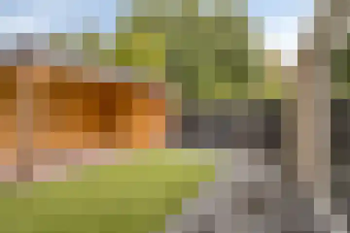 Goudsbloemvallei 6 's-Hertogenbosch thumbnail 42