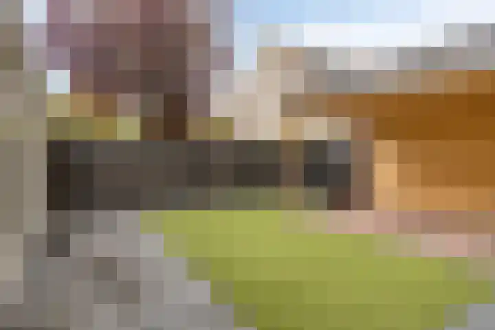 Goudsbloemvallei 6 's-Hertogenbosch thumbnail 43