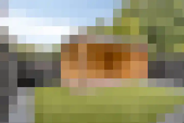 Goudsbloemvallei 6 's-Hertogenbosch thumbnail 44