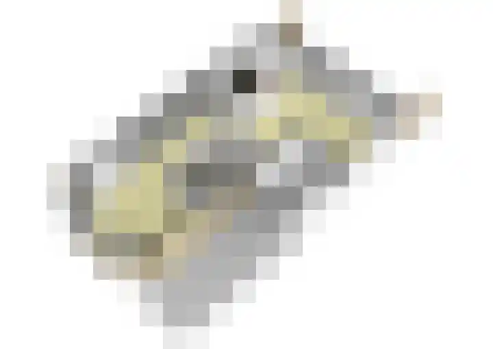 Goudsbloemvallei 6 's-Hertogenbosch thumbnail 46