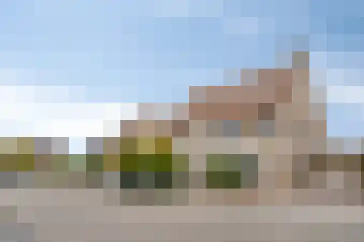 Goudsbloemvallei 6 's-Hertogenbosch thumbnail 6