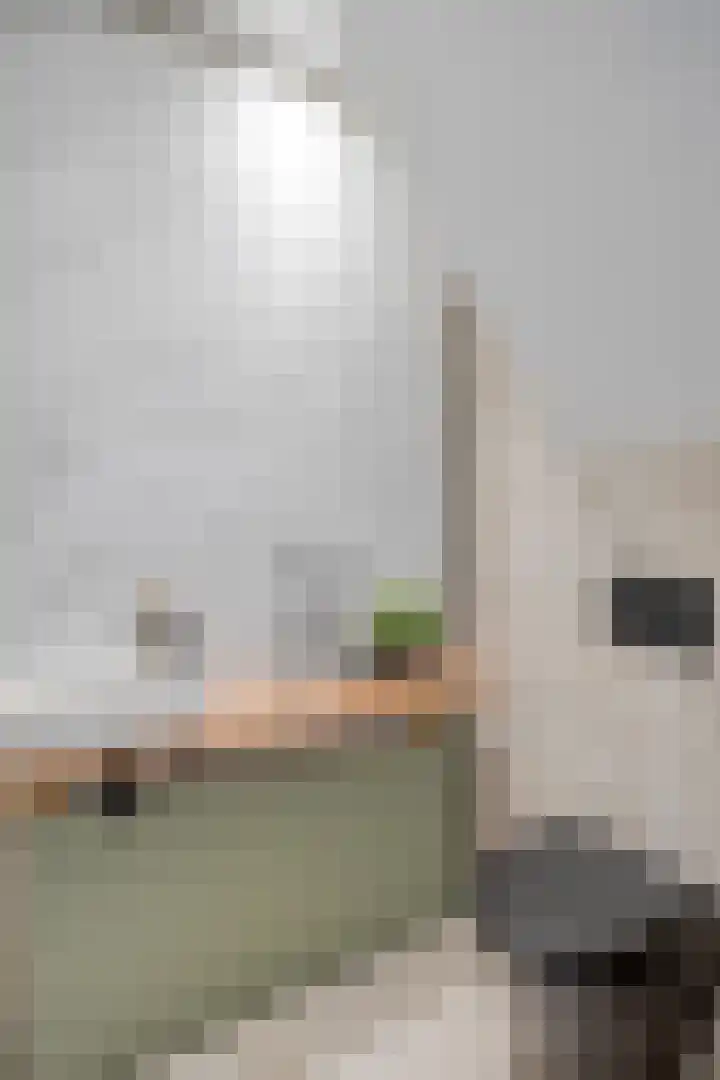 Goudsbloemvallei 6 's-Hertogenbosch thumbnail 9