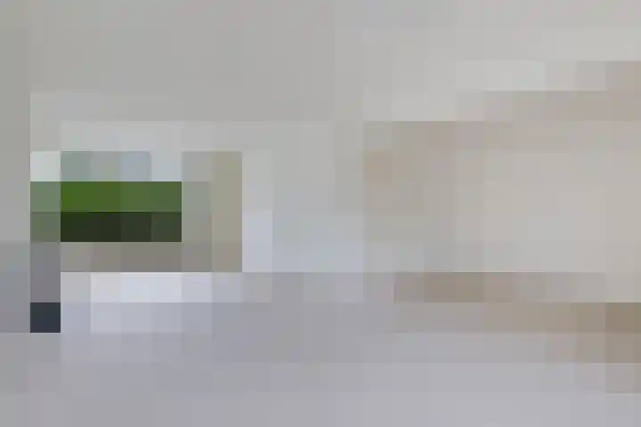 Goudsbloemweg 21 Paterswolde thumbnail 10