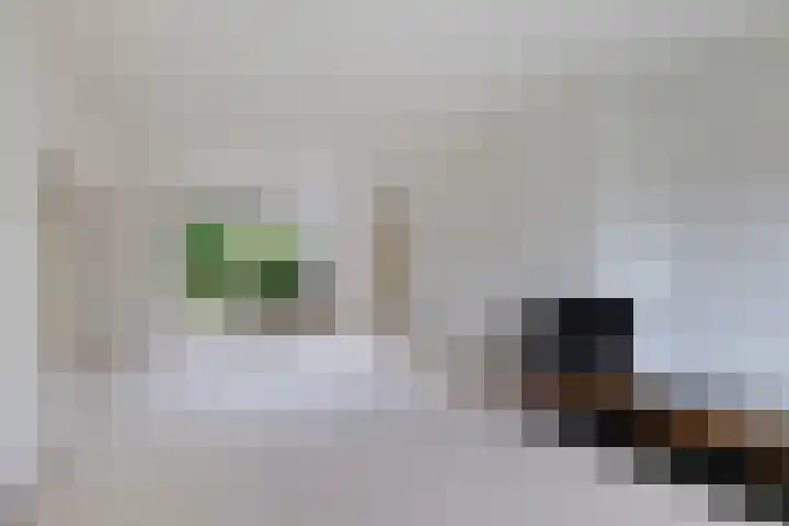 Goudsbloemweg 21 Paterswolde thumbnail 11