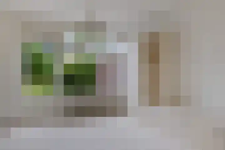 Goudsbloemweg 21 Paterswolde thumbnail 13