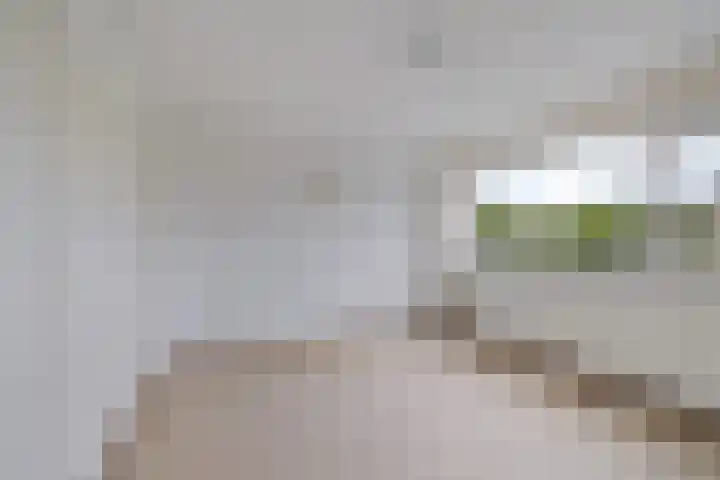 Goudsbloemweg 21 Paterswolde thumbnail 23