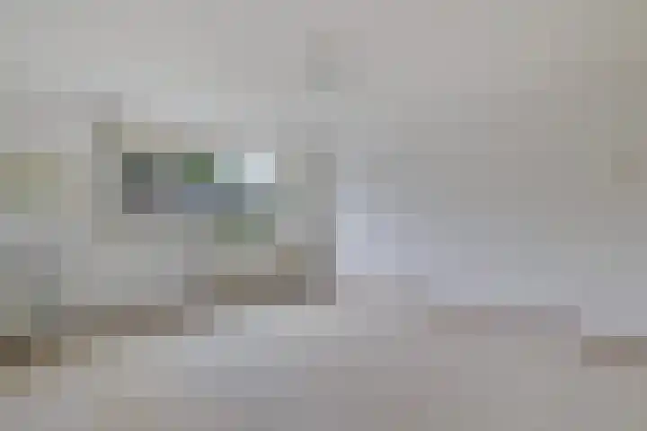 Goudsbloemweg 21 Paterswolde thumbnail 25
