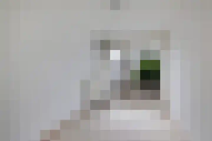 Goudsbloemweg 21 Paterswolde thumbnail 27