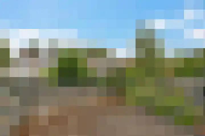 Goudsbloemweg 21 Paterswolde thumbnail 28