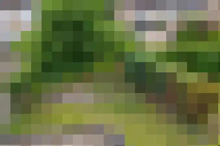 Goudsbloemweg 21 Paterswolde thumbnail 29