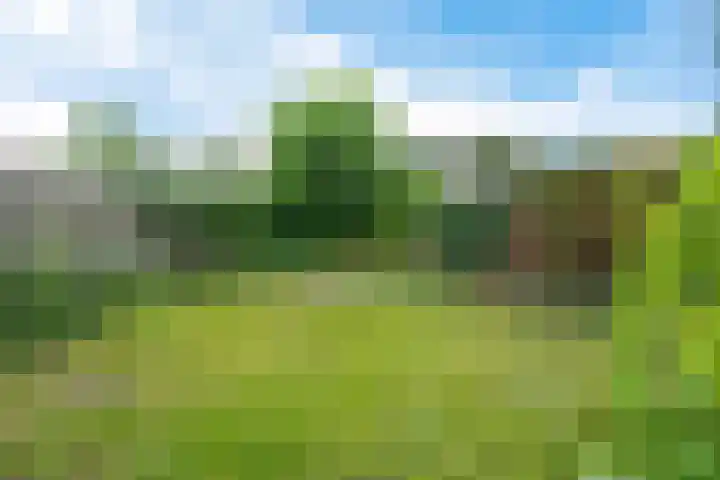 Goudsbloemweg 21 Paterswolde thumbnail 30