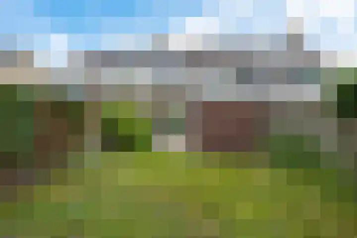 Goudsbloemweg 21 Paterswolde thumbnail 31