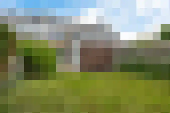 Goudsbloemweg 21 Paterswolde thumbnail 32