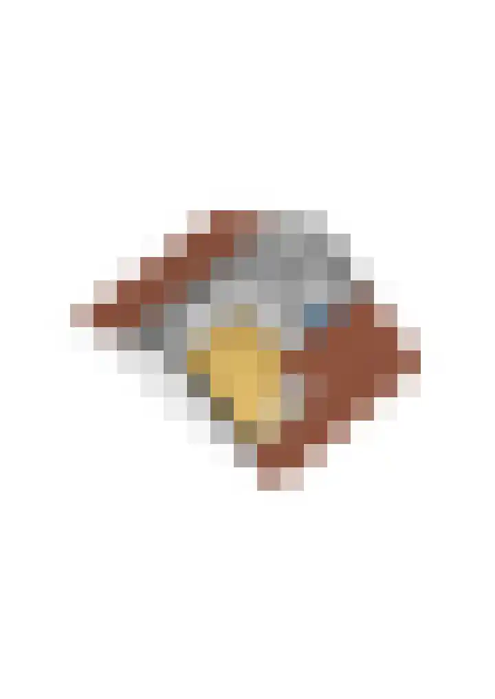 Goudsbloemweg 21 Paterswolde thumbnail 38