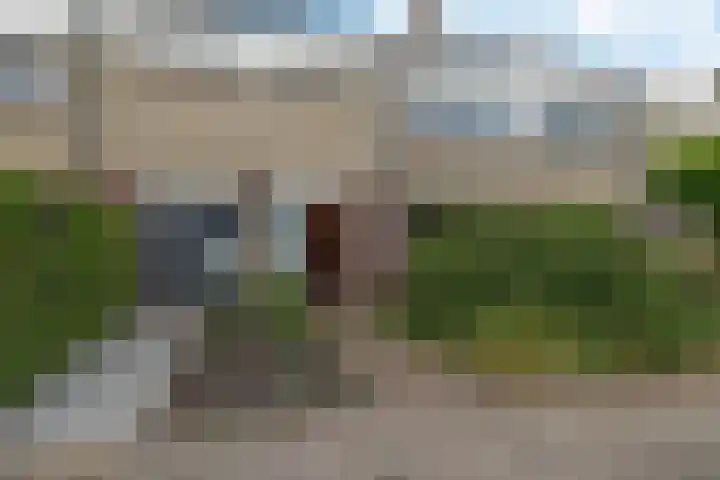 Goudsbloemweg 21 Paterswolde thumbnail 39