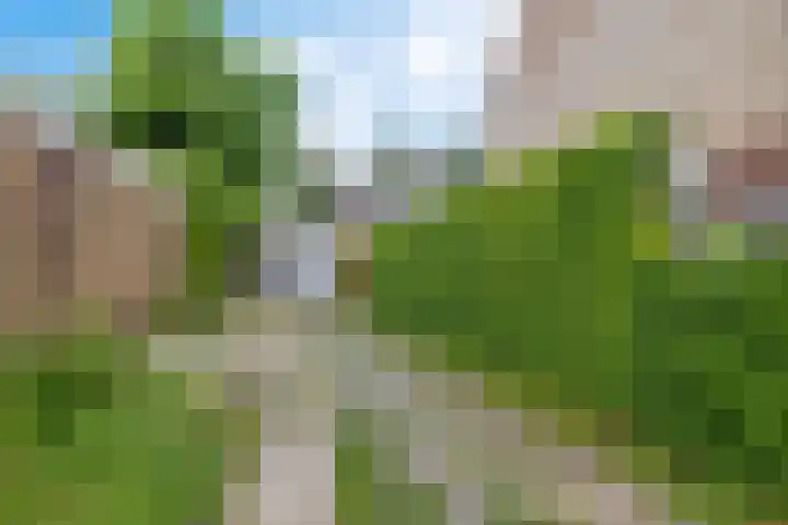 Goudsbloemweg 21 Paterswolde thumbnail 4