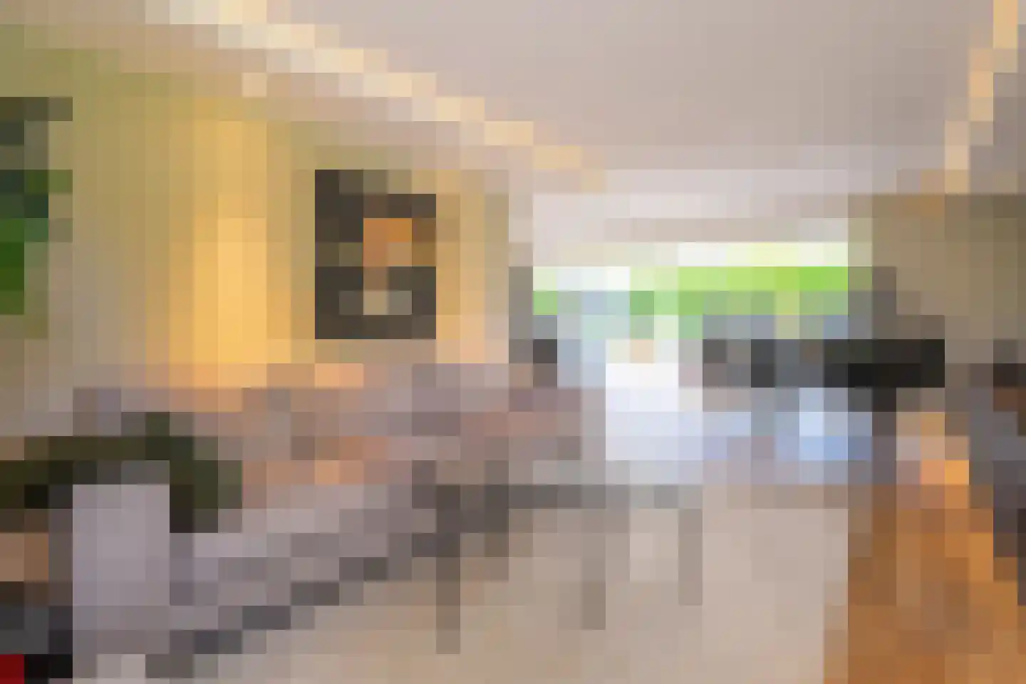 Goudsbloemweg 6 Paterswolde thumbnail 18
