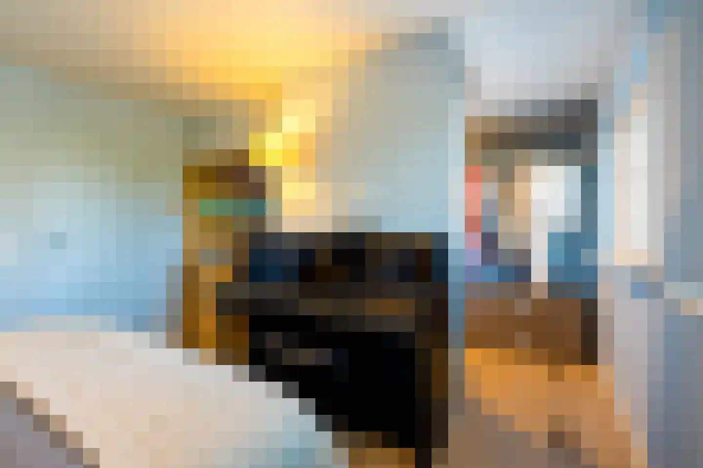 Goudsbloemweg 6 Paterswolde thumbnail 31