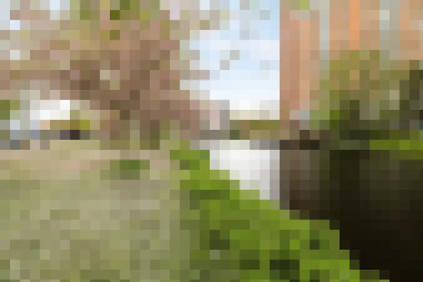 Goudse Rijweg 12 B 02 Rotterdam thumbnail 30