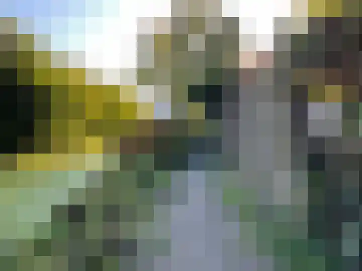 Goudse Rijweg 137 Boskoop thumbnail 32