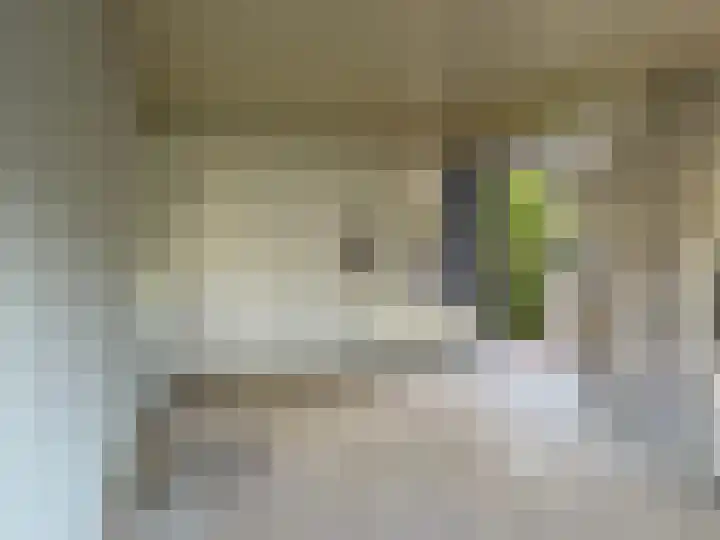 Goudse Rijweg 137 Boskoop thumbnail 8