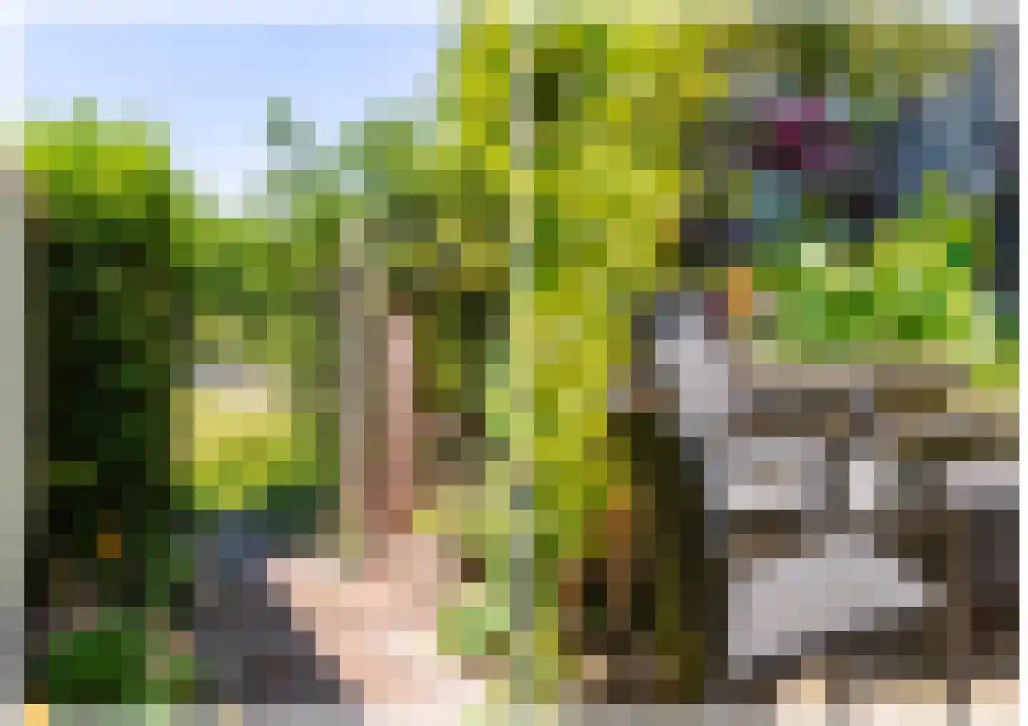 Goudse Rijweg 269 Rotterdam thumbnail 27