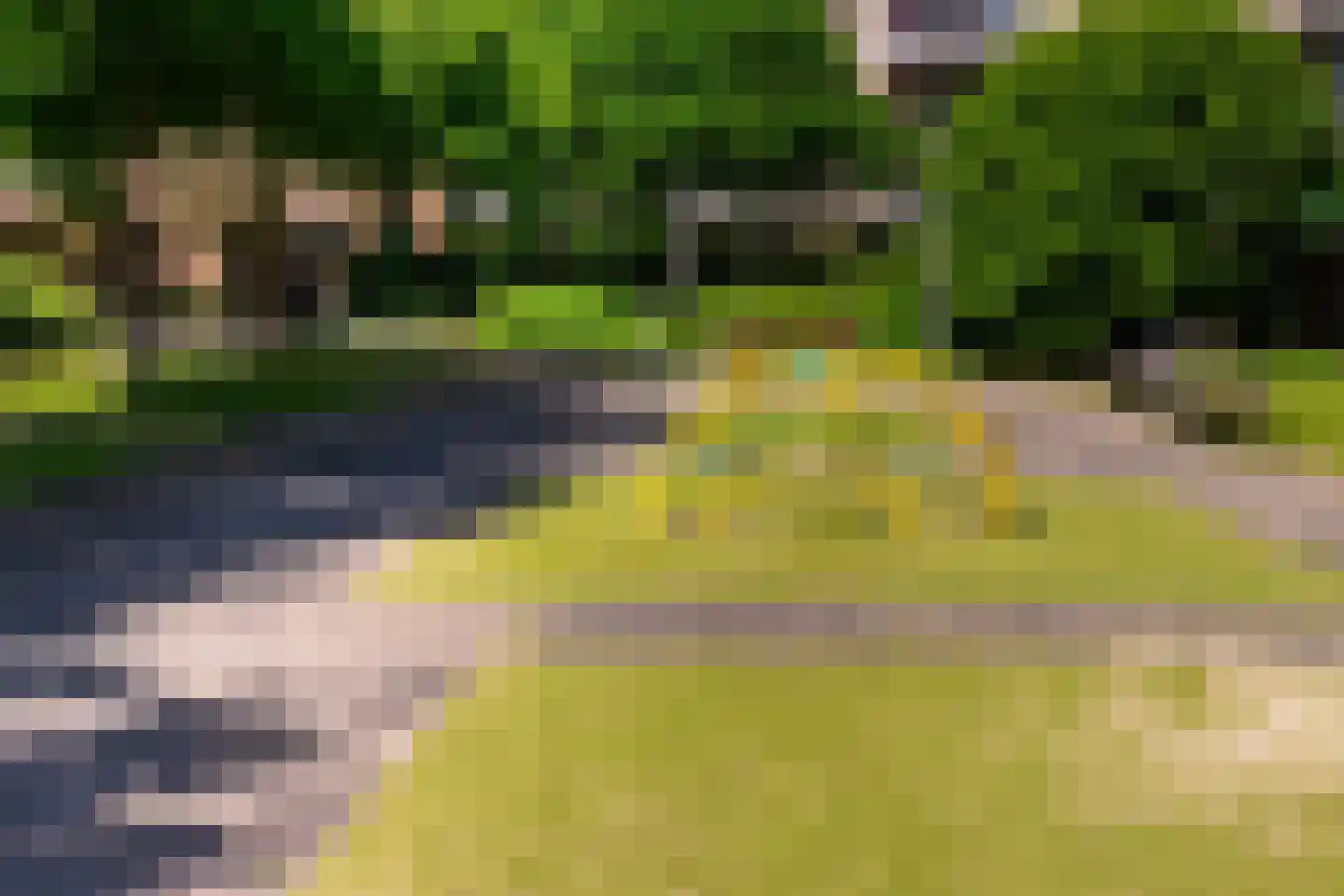 Goudse Rijweg 269 Rotterdam thumbnail 33
