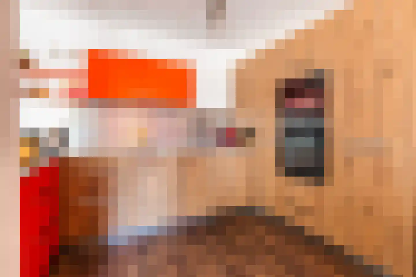 Goudse Rijweg 269 Rotterdam thumbnail 8