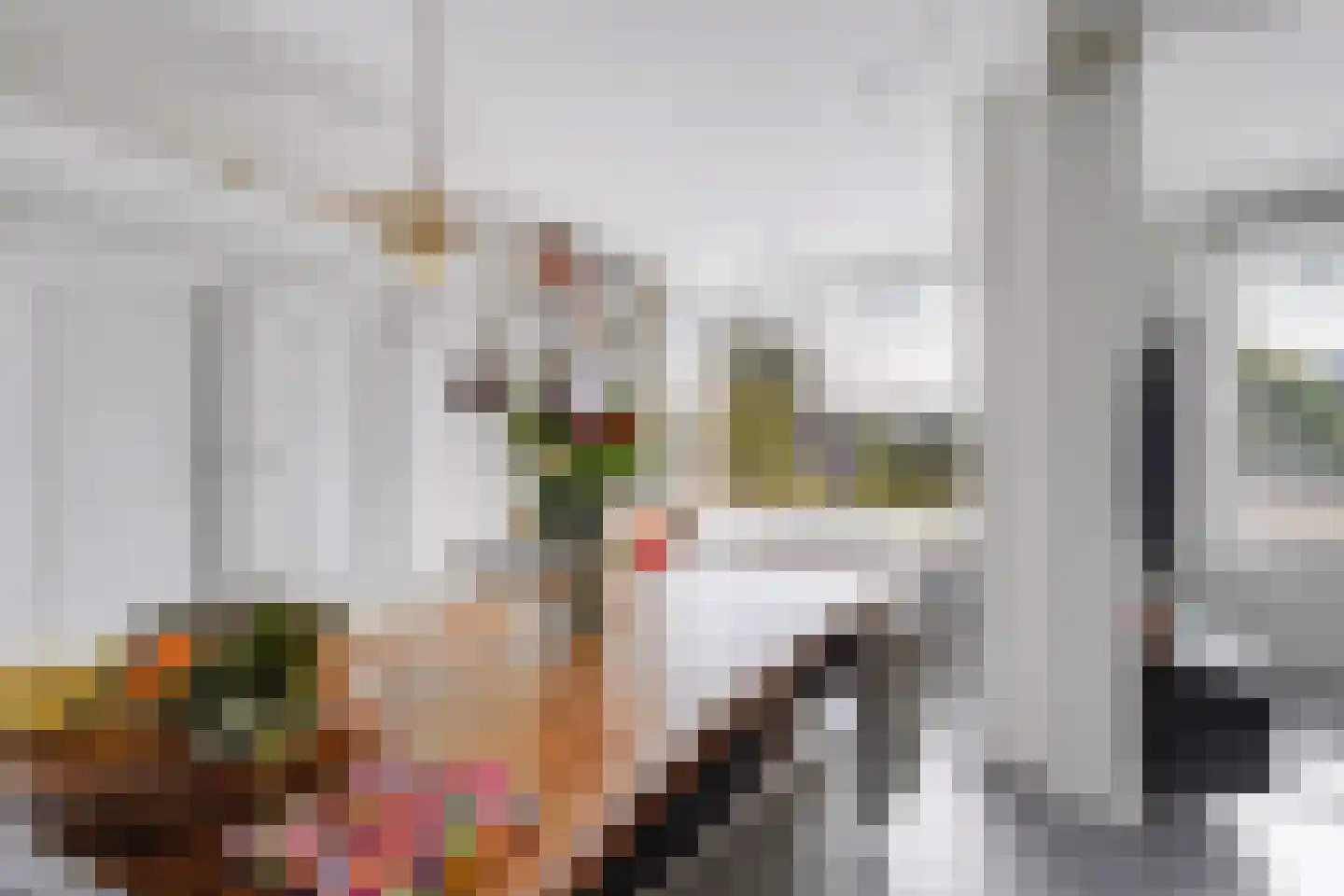 Goudse Rijweg 273 Rotterdam thumbnail 4