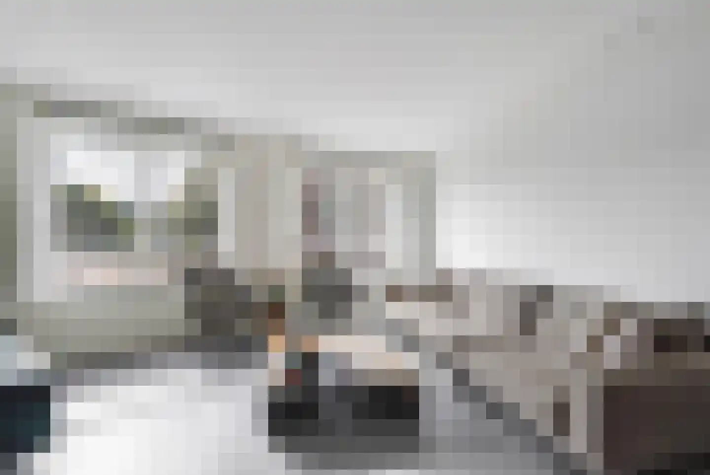 Goudse Rijweg 273 Rotterdam thumbnail 6