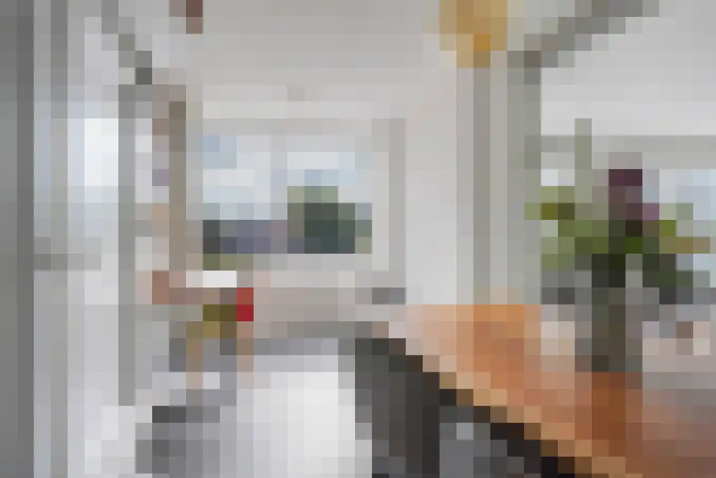 Goudse Rijweg 273 Rotterdam thumbnail 8
