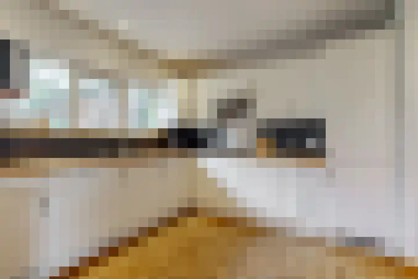 Goudse Rijweg 356 Boskoop thumbnail 10