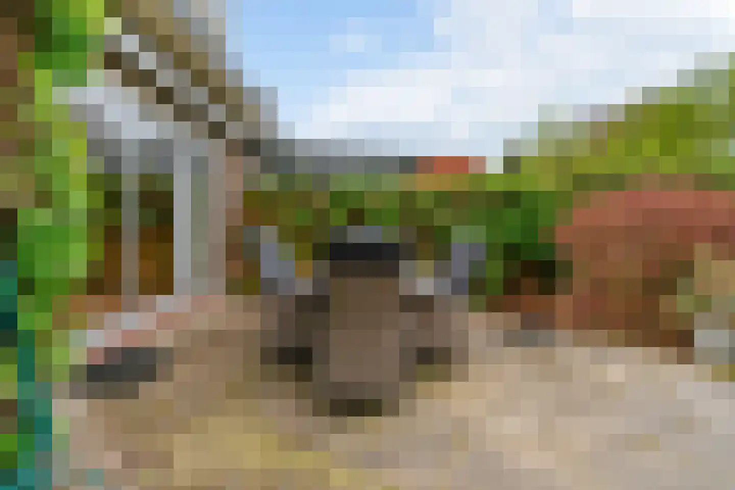 Goudse Rijweg 356 Boskoop thumbnail 35