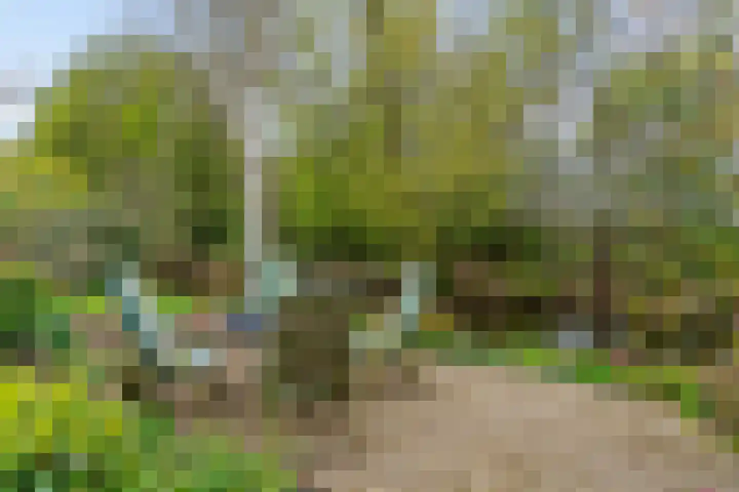 Goudse Rijweg 356 Boskoop thumbnail 36