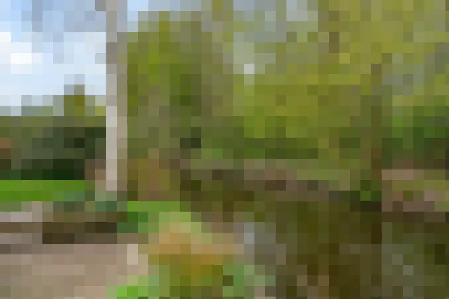 Goudse Rijweg 356 Boskoop thumbnail 38