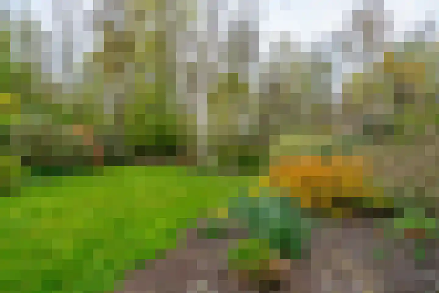 Goudse Rijweg 356 Boskoop thumbnail 39