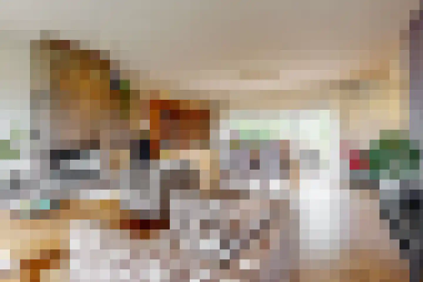 Goudse Rijweg 356 Boskoop thumbnail 4