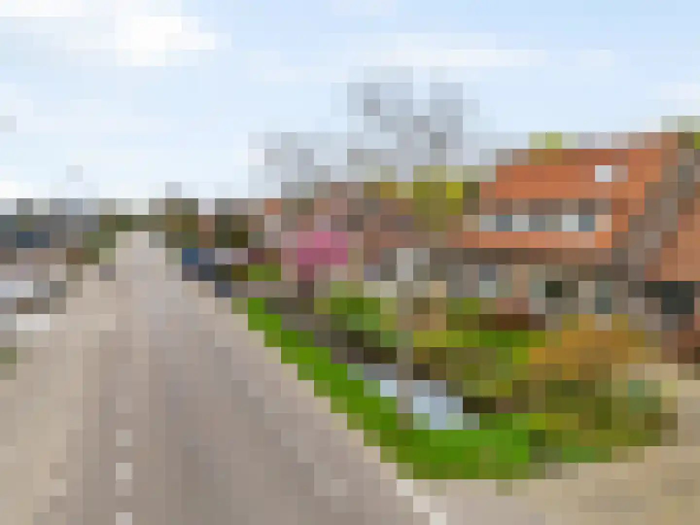 Goudse Rijweg 356 Boskoop thumbnail 47