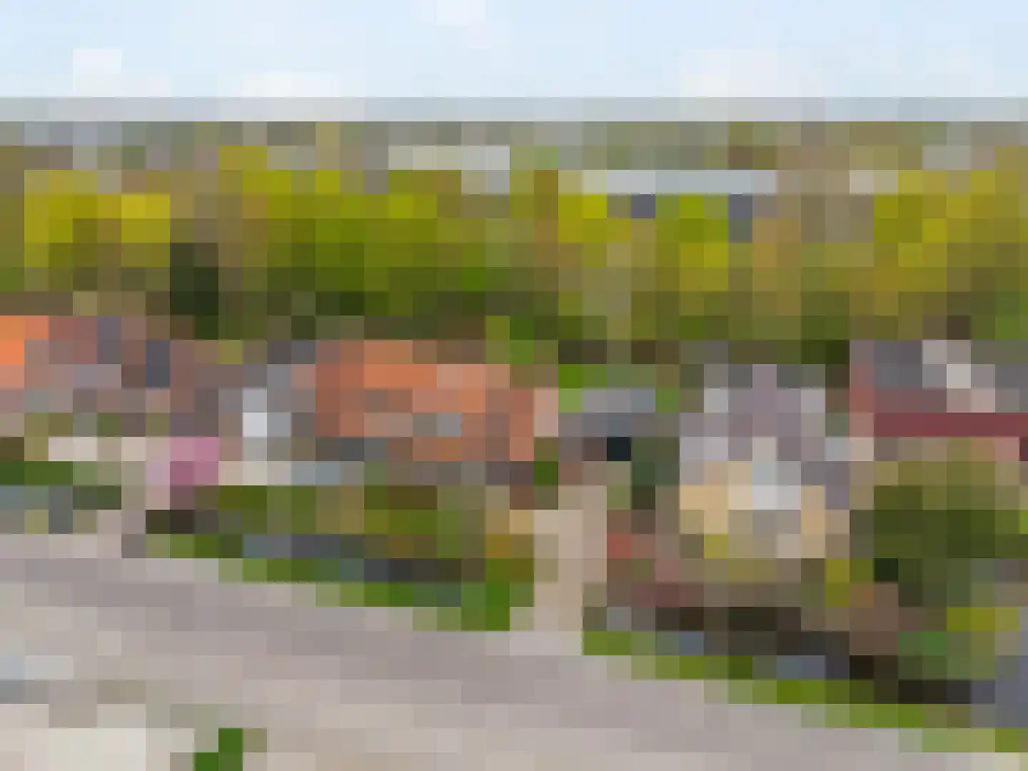 Goudse Rijweg 356 Boskoop thumbnail 8