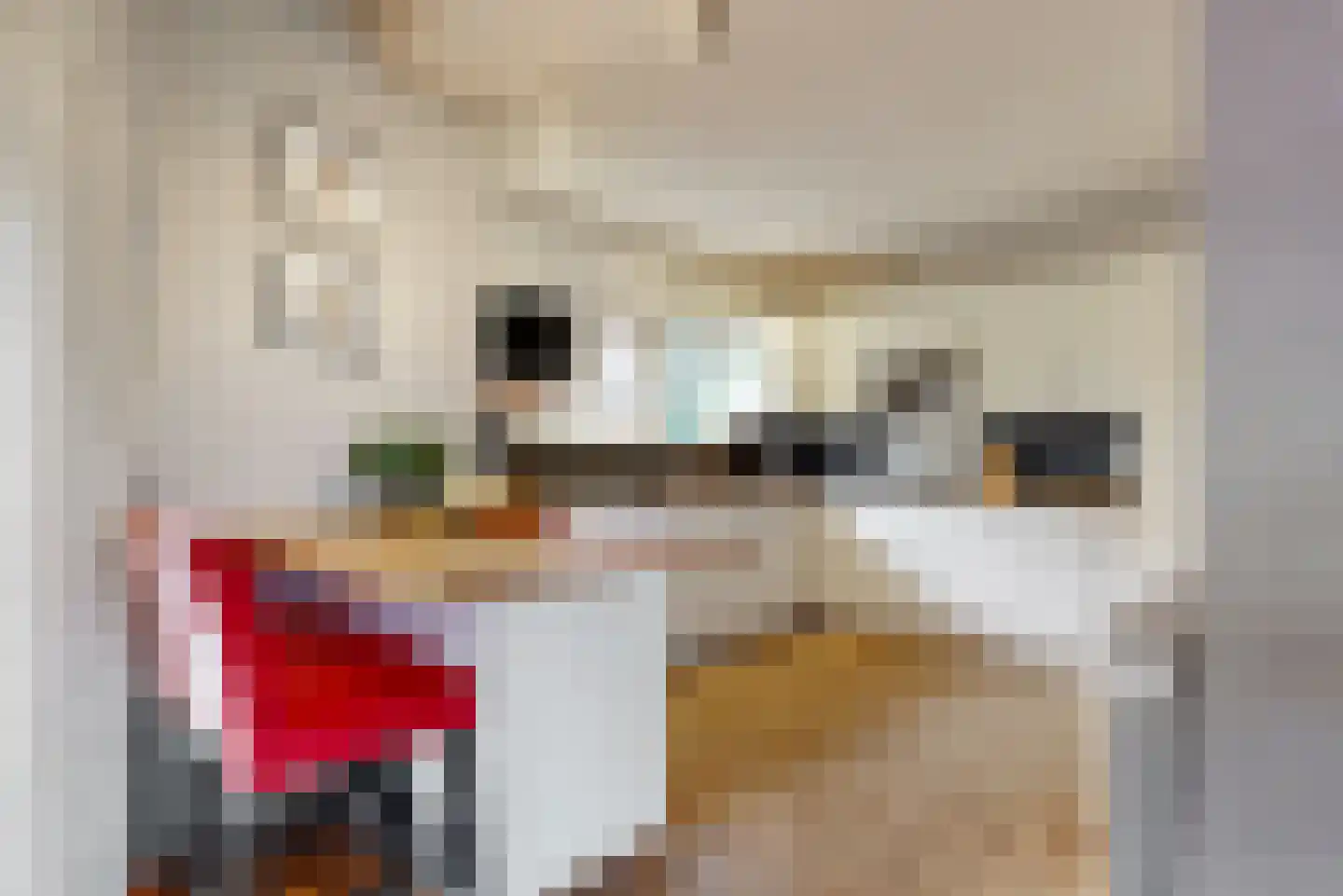 Goudse Rijweg 356 Boskoop thumbnail 9
