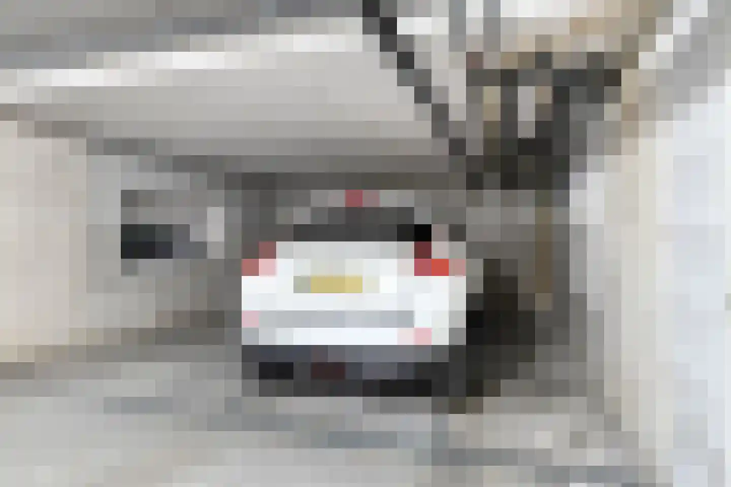 Goudse Rijweg 388 B Rotterdam thumbnail 25