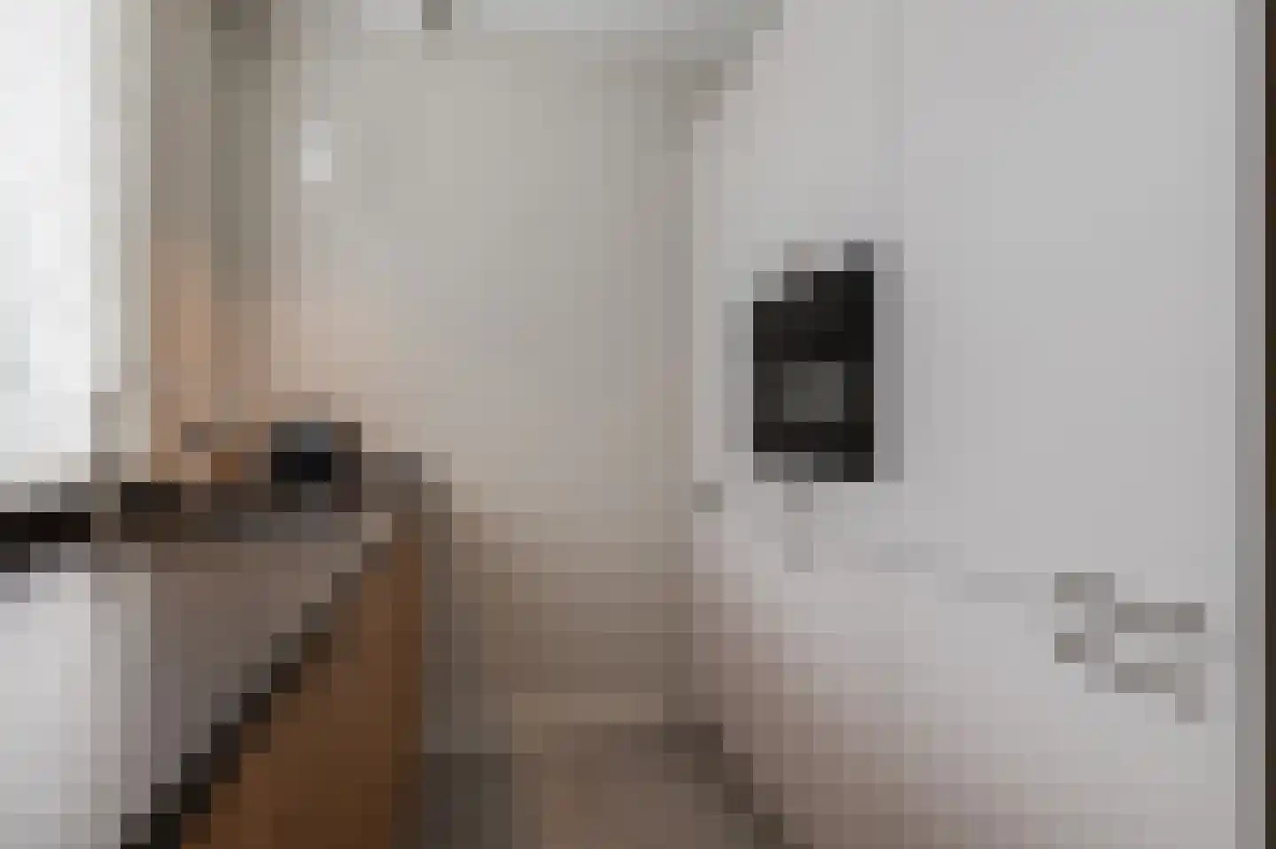 Goudse Steen 29 Wijk bij Duurstede thumbnail 11
