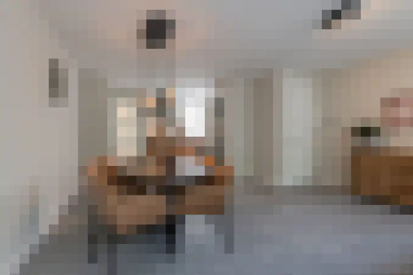 Goudse Steen 29 Wijk bij Duurstede thumbnail 13