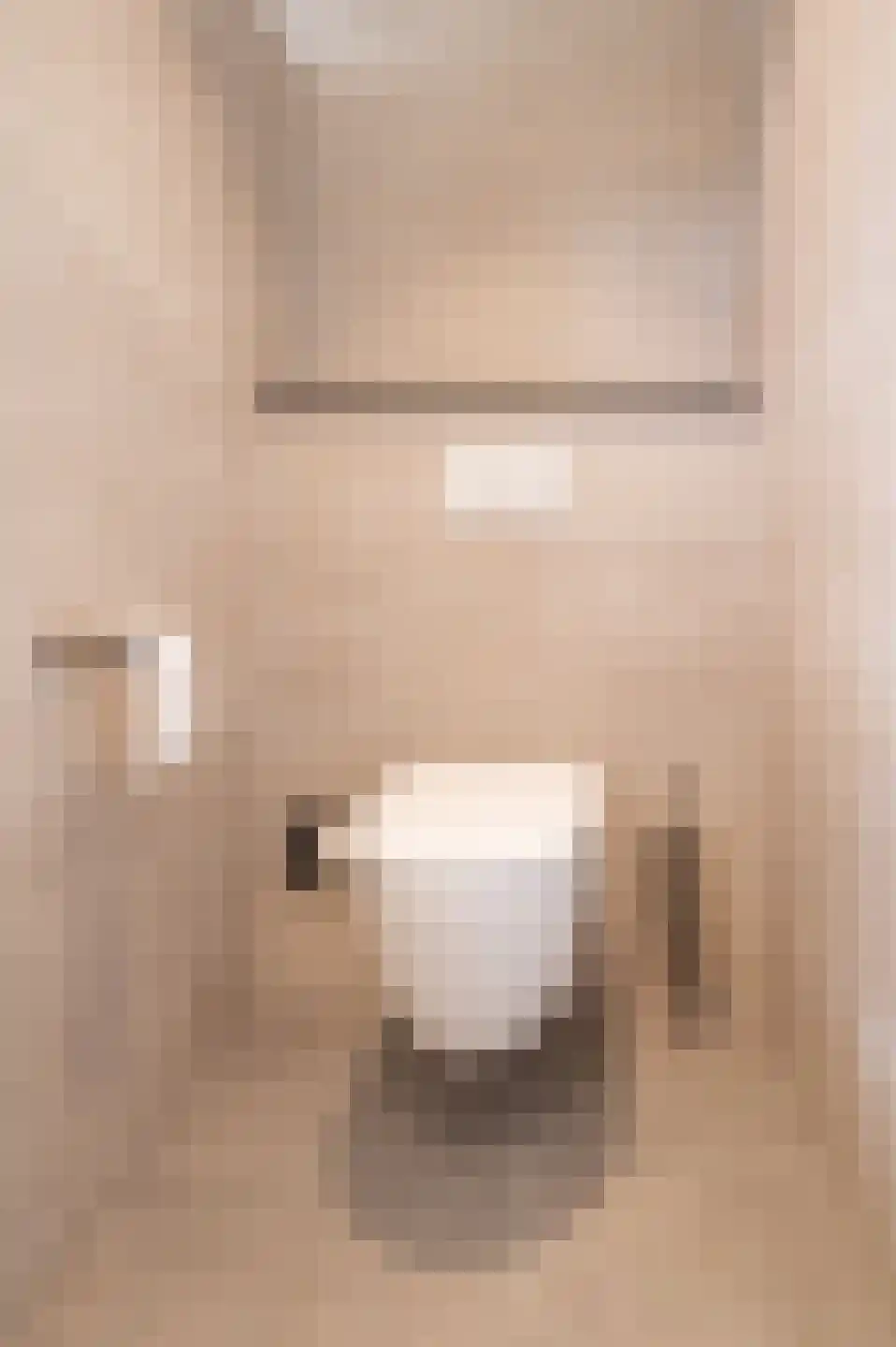 Goudse Steen 29 Wijk bij Duurstede thumbnail 25